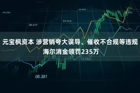 元宝枫资本 涉营销夸大误导、催收不合规等违规 海尔消金领罚235万