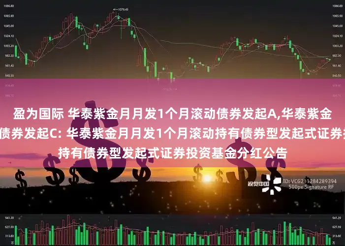 盈为国际 华泰紫金月月发1个月滚动债券发起A,华泰紫金月月发1个月滚动债券发起C: 华泰紫金月月发1个月滚动持有债券型发起式证券投资基金分红公告